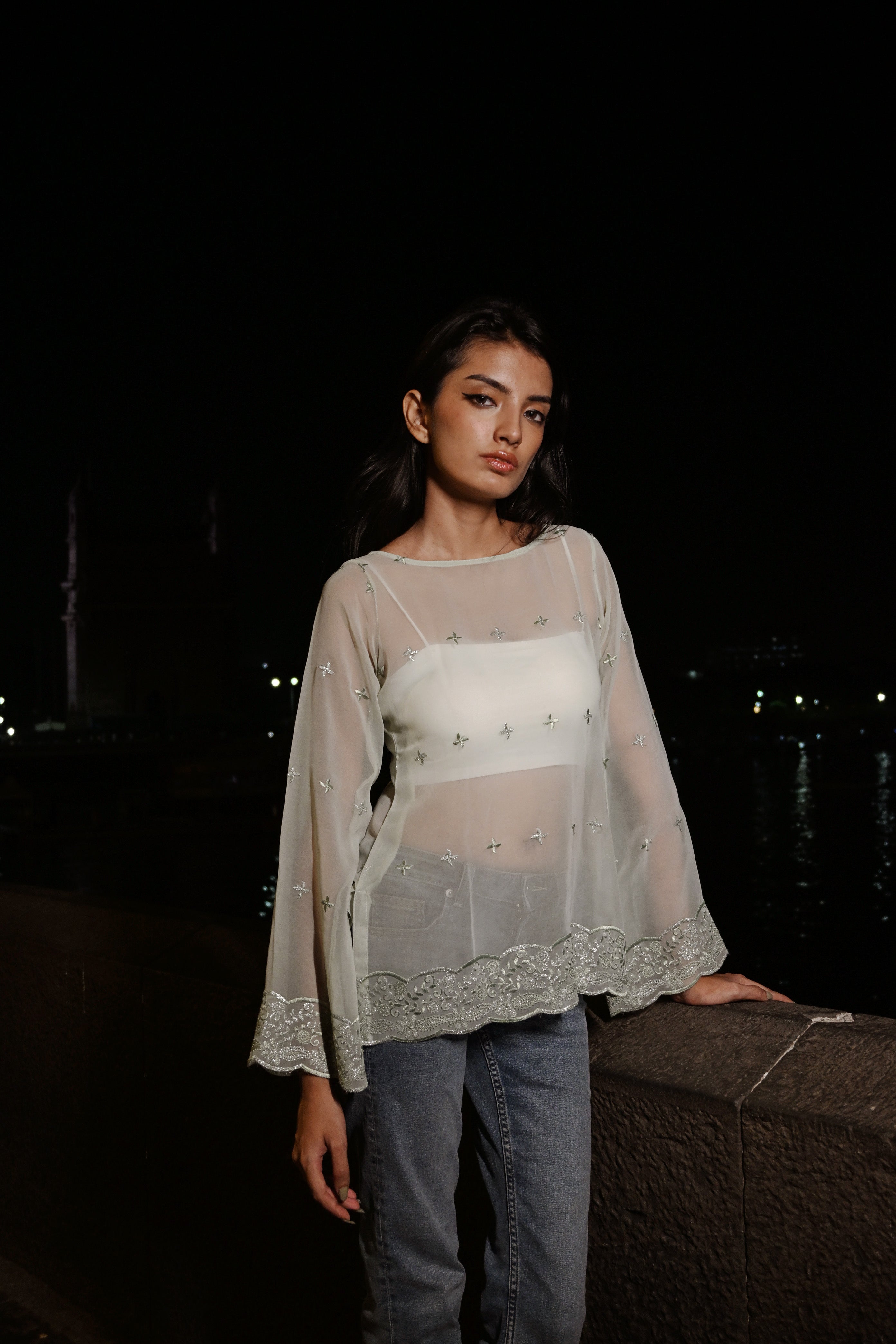 Vani Sheer Top